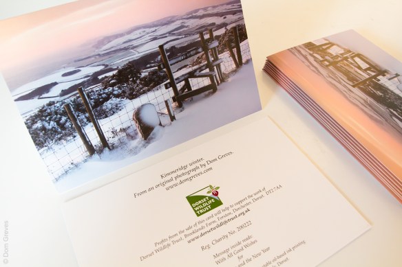 Jurassic Coast Snow Christmas Card